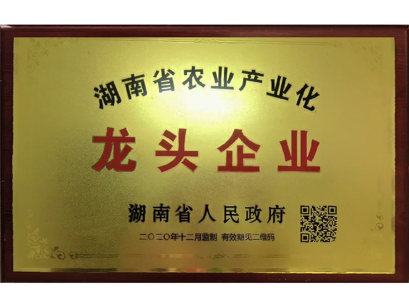 岳陽市漁之源食品有限公司,岳港漁都,洞庭魚港,散稱系列,田螺系列,臭豆腐加工，香豆腐加工，烤脖加工，魚仔,鴨排加工、雞丁加工代加工